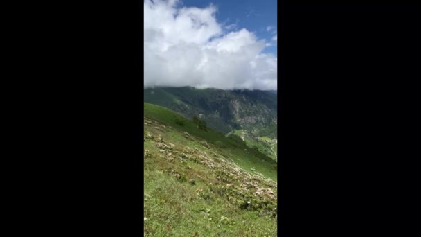 Rize Nin Güzel Dağları Kackar Dağları Cicek Yaylaları — Stok video