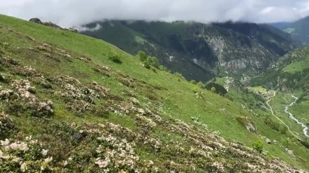 Mais Belas Montanhas Rize Kackar Mountains Cicek Plateau — Vídeo de Stock