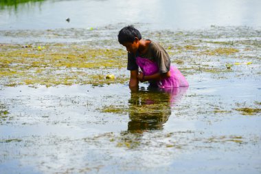 Batur Gölü, Kintamani, Bangli, Bali, Endonezya, gölde balık tutan balıkçılar