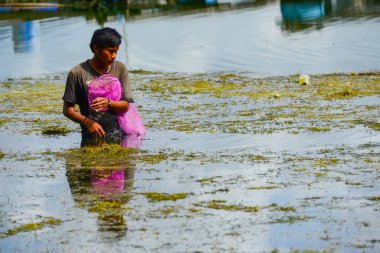 Batur Gölü, Kintamani, Bangli, Bali, Endonezya, gölde balık tutan balıkçılar