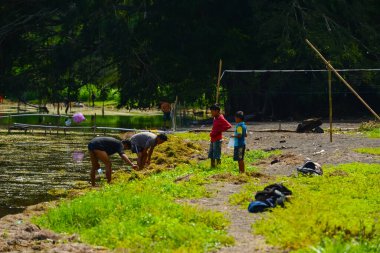 Batur Gölü, Kintamani, Bangli, Bali, Endonezya, gölde balık tutan balıkçılar