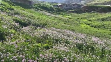 Kackar Dağları, Şelaleler ve vadiler Türkiye 'nin en güzel manzaralarıdır.
