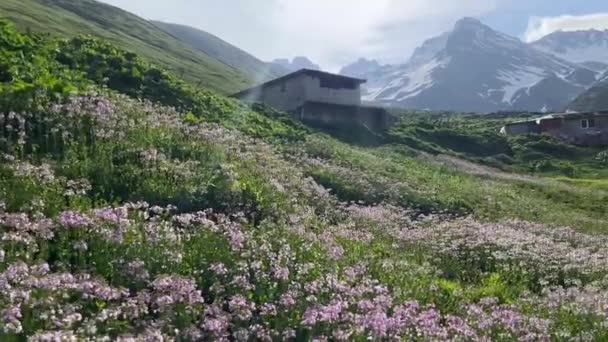 Montañas Kackar Cascadas Valles Son Los Lugares Más Bellos Turquía — Vídeo de stock