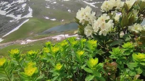 Kackar Mountains National Park Turkey Most Beautiful Landscapes — Stok video