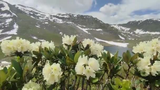 Kackers Nationalpark Turkiets Vackraste Landskap — Stockvideo