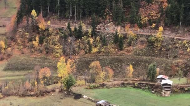 Autumn Landscape Savsat District Artvin Turkey Fall Season Eastern Turkey — Stockvideo