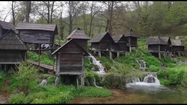 Prachtige Waterval Kravica Omgeven Door Bos Dat Uitmondt Een Rivier — Stockvideo