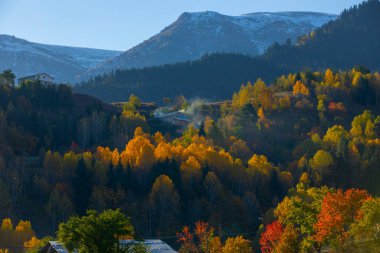 Savsat 'ta Sonbahar Sezonu, Artvin Türkiye