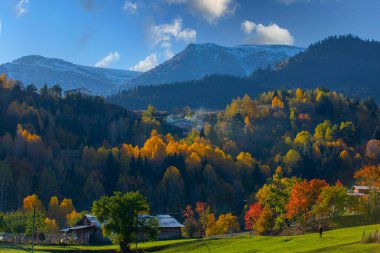 Savsat 'ta Sonbahar Sezonu, Artvin Türkiye