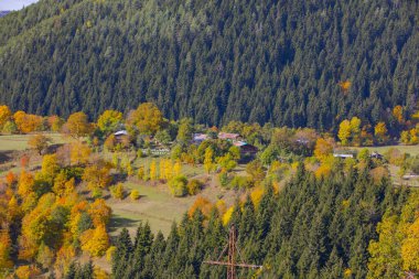 Savsat 'ta Sonbahar Sezonu, Artvin Türkiye