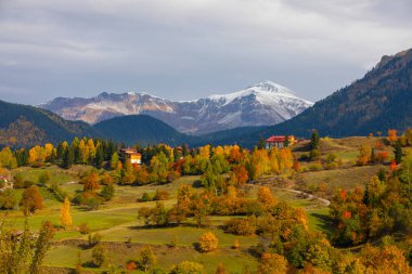 Savsat 'ta Sonbahar Sezonu, Artvin Türkiye