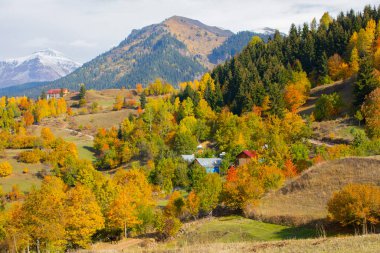 Savsat 'ta Sonbahar Sezonu, Artvin Türkiye