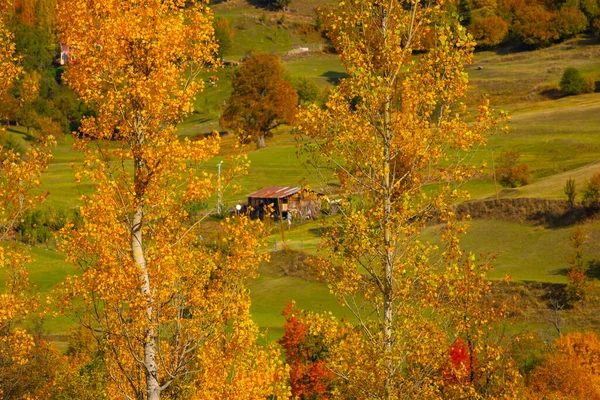 Осенний Сезон Савсате — стоковое фото