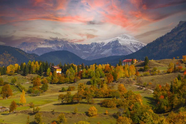 Savsat 'ta Sonbahar Sezonu, Artvin Türkiye