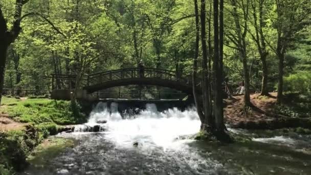 Босния Герцеговина Красивый Парк Врело Бонне — стоковое видео