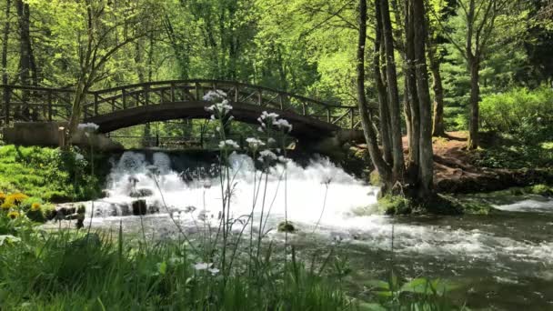 Βοσνία Και Ερζεγοβίνη Όμορφο Πάρκο Vrelo Bosne — Αρχείο Βίντεο
