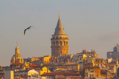 İstanbul 'daki eski ve estetik taşıma araçları ve İstanbul' un güzel manzarası.