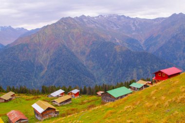 Pokut Platosu Rize Camlihemsin, Pokut Platosu Karadeniz ve Türkiye. Rize, Türkiye.