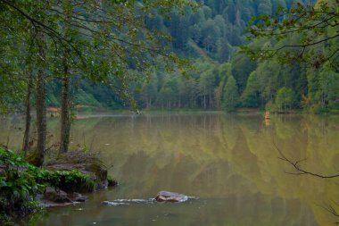 Turistler, yerliler, kampçılar ve Doğu Karadeniz, Savsat, Artvin, Türkiye'de seyahat etmek için popüler bir hedef Karagol (siyah göl) görünümünü manzara