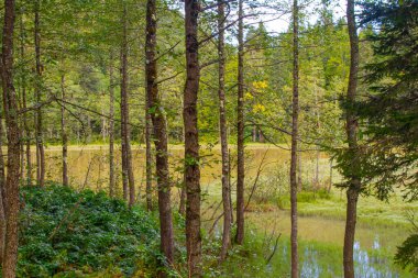 Turistler, yerliler, kampçılar ve Doğu Karadeniz, Savsat, Artvin, Türkiye'de seyahat etmek için popüler bir hedef Karagol (siyah göl) görünümünü manzara