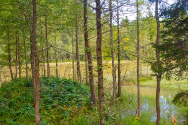 Turistler, yerliler, kampçılar ve Doğu Karadeniz, Savsat, Artvin, Türkiye'de seyahat etmek için popüler bir hedef Karagol (siyah göl) görünümünü manzara