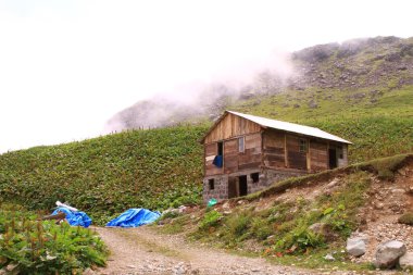 Gito Platosu, Kackar Dağları. Rize - Türkiye