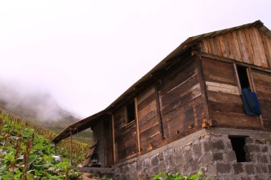 Gito Platosu, Kackar Dağları. Rize - Türkiye
