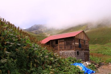 Gito Platosu, Kackar Dağları. Rize - Türkiye