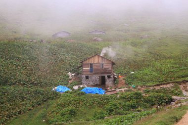 Gito Platosu, Kackar Dağları. Rize - Türkiye
