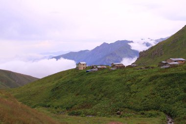 Gito Platosu, Kackar Dağları. Rize - Türkiye