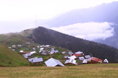 Gito Platosu, Kackar Dağları. Rize - Türkiye