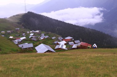 Gito Platosu, Kackar Dağları. Rize - Türkiye