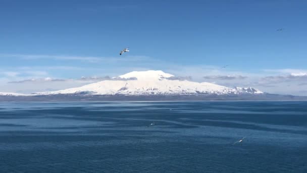Mount Ararat Med Glaciär Och Snötopp Fint Soligt Väder Med — Stockvideo
