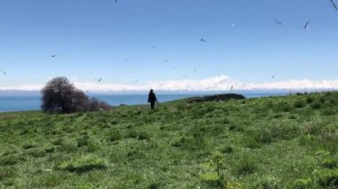 Carpanak Island is an island located in the northeastern part of Lake Van, in the Citren Village of the city of Van.