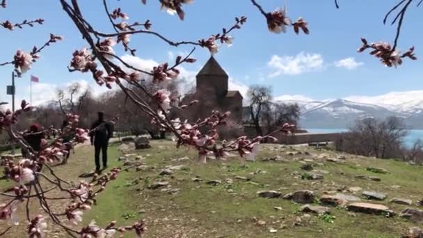 Akdamar Island Van Lake Armenian Cathedral Church Holy Cross Akdamar — Stock videók
