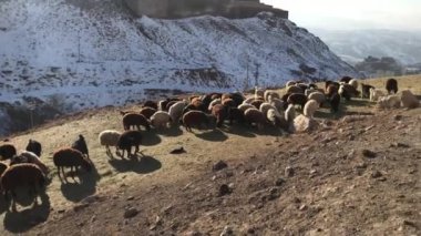 Dogubayazit Doğu Türkiye'de yakınlarındaki Ishak Paşa Sarayı (Ishakpasa Sarayı)
