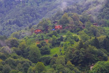 Geleneksel ahşap Karadeniz evleri