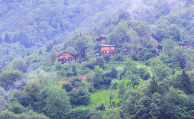Geleneksel ahşap Karadeniz evleri
