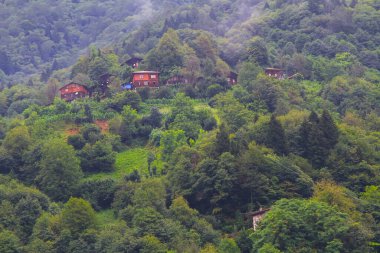 Geleneksel ahşap Karadeniz evleri