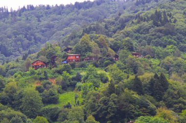 Geleneksel ahşap Karadeniz evleri