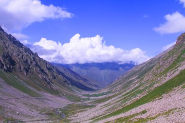 Kackar Dağları Ulusal Parkı (Vercenik Platosu) Rize, Türkiye.