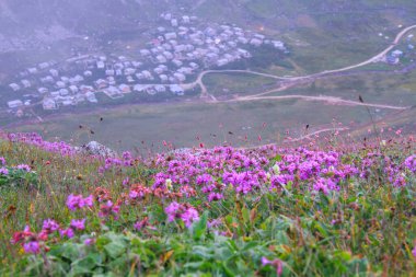 Trovit Plateau view in Rize Province of Turkey