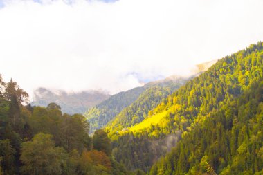 Camlihemsin 'deki Ayder Platosu. Güneş doğarken panoramik tahta kiraz manzarası. Hindi yolculuğu. Ayder Platosu 'nun 1350 metre yüksekliğindeki ahşap dağ evleri ile geniş bir çayır alanı vardır. Rize, Türkiye