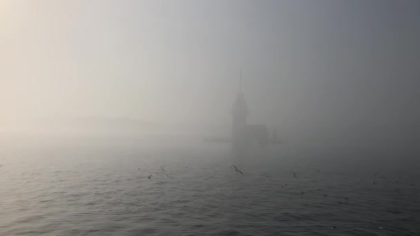 Maiden Tower Istanbul Tåkefull Dag – stockvideo