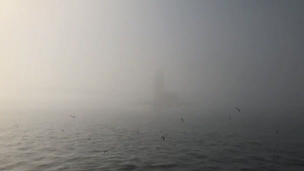 Вежа Діви Стамбул Туманний День — стокове відео