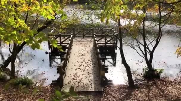 Autumn Forest Landscape Reflection Water Wooden Pier Autumn Landscape Seven — Vídeo de Stock