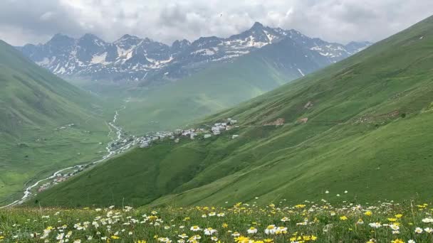 Cicekli Plateau Camlihemsin District Rize Province Kackar Mountains Region Rize — ストック動画