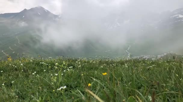 Cicekli Plateau Camlihemsin District Rize Province Kackar Mountains Region Rize — Stockvideo