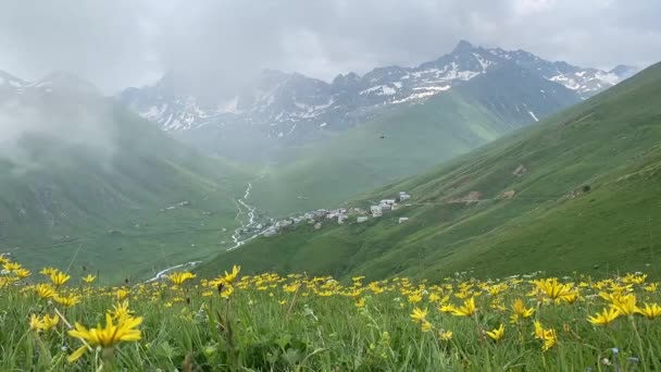Cicekli Plateau Camlihemsin District Rize Province Kackar Mountains Region Rize — Vídeo de Stock