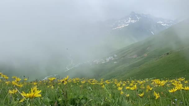 Cicekli Plateau Camlihemsin District Rize Province Kackar Mountains Region Rize — Stok video
